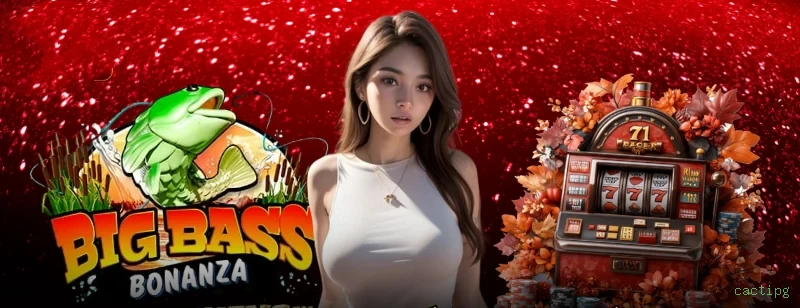 Catálogo de slots